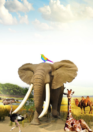大象长颈鹿绿色森林动物世界动物园海报保护动物海报背景展板